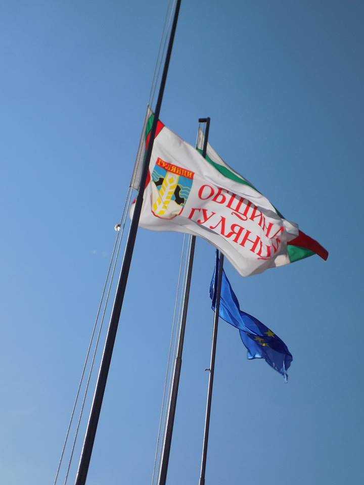 43 години град Гулянци