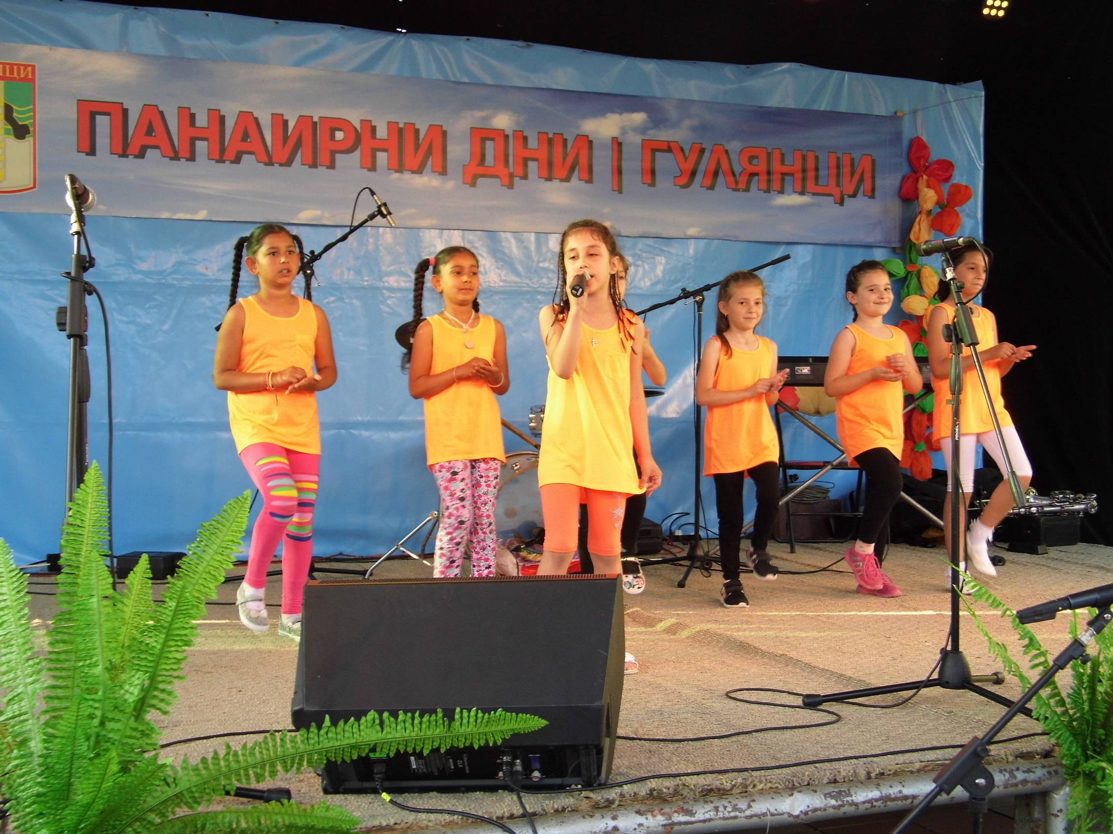 Панаирни дни Гулянци 2017